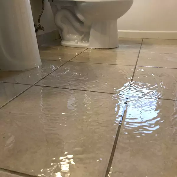 Expert Flooded Bathroom Restoration in Seaside, CA 