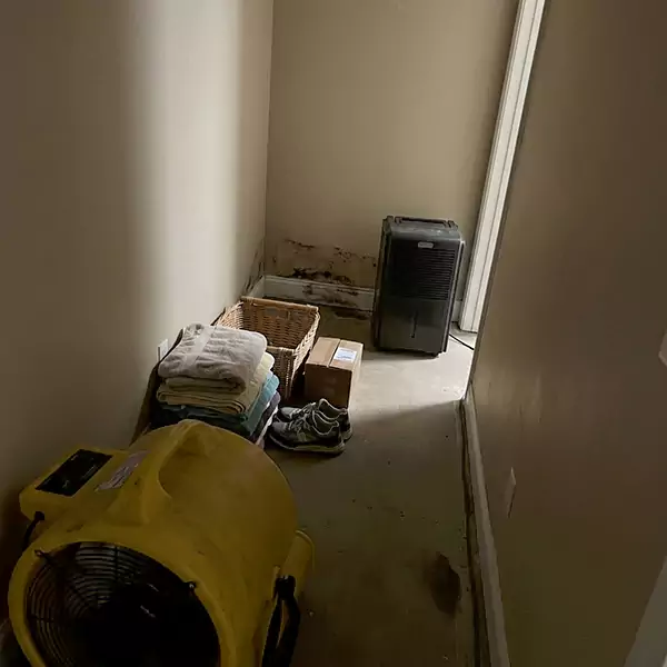 Expert Water Remediation in Seaside, CA 