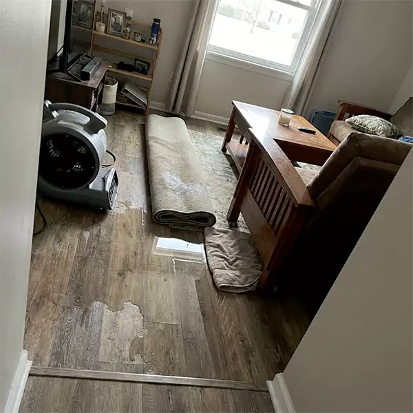 Water Restoration in Seaside, CA