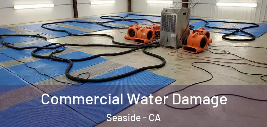  Commercial Water Damage Seaside - CA