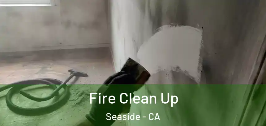  Fire Clean Up Seaside - CA