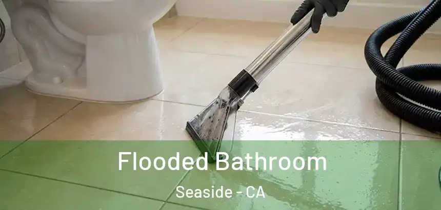 Flooded Bathroom Seaside - CA