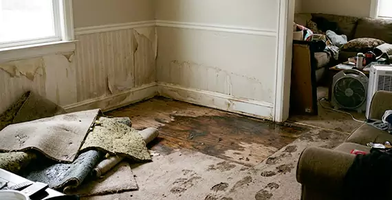 Why Choose Seaside Water Damage Restoration For Water Damage Restoration Services in Seaside, CA?