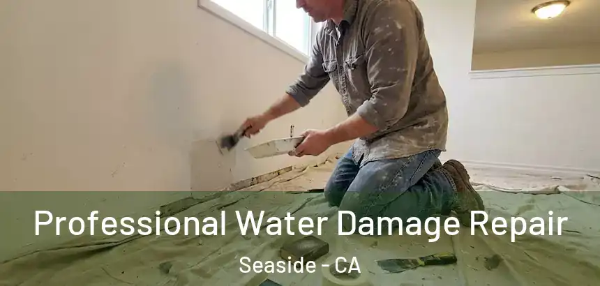 Professional Water Damage Repair Seaside - CA