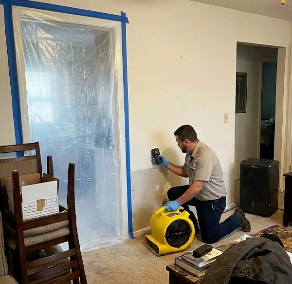 Why Homeowners & Businesses Choose Seaside Water Damage Restoration for Water Remediation in Seaside, CA?