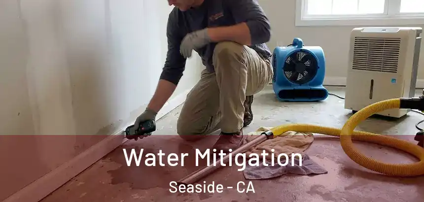  Water Mitigation Seaside - CA