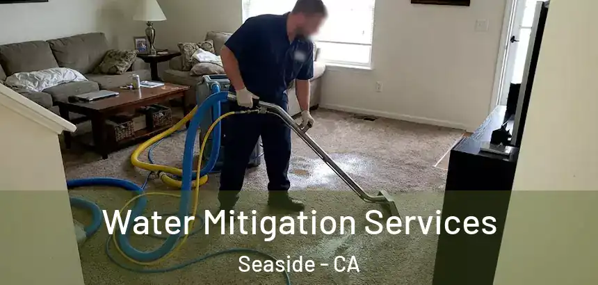 Water Mitigation Services Seaside - CA